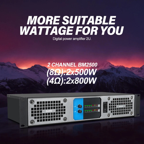 Power Amplifier BM2500 800w 4ohm Professional Digital Audio Amplifier DJ Equipment for Speaker Subwoofer Stage Wedding KTV Home