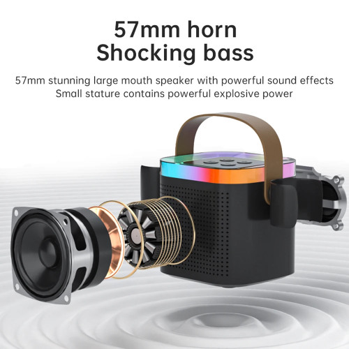 TANALAZ K8 Karaoke Machine Portable Bluetooth 5.1 PA Speaker System with 1-2 Wireless Microphones Home Family Singing Child Gift