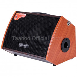 8 Inch 100W Acoustic Guitar Amplifier Speaker Sax Ukulele Piano Practice AMP Built-in Chorus Reverb Delay Effect Outdoor Speaker 