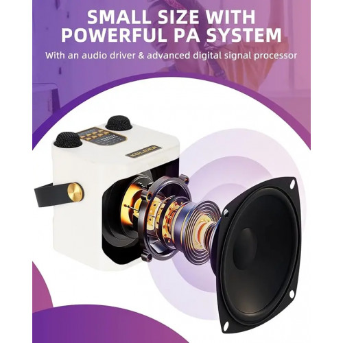 High Power Karaoke Bluetooth Speaker Portable 360 Stereo Surround Waterproof Wireless Subwoofer with 2 Mic Boombox music player