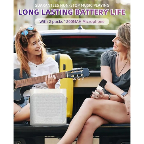 High Power Karaoke Bluetooth Speaker Portable 360 Stereo Surround Waterproof Wireless Subwoofer with 2 Mic Boombox music player