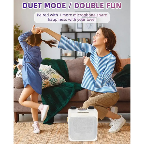 High Power Karaoke Bluetooth Speaker Portable 360 Stereo Surround Waterproof Wireless Subwoofer with 2 Mic Boombox music player