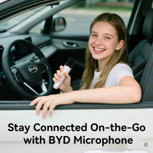 BYD & DENZA Official factory Car Microphone With Receiver, Karaoke Microphone for BYD all Models + Denza, Original sale.