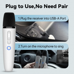 BYD & DENZA Official factory Car Microphone With Receiver, Karaoke Microphone for BYD all Models + Denza, Original sale.