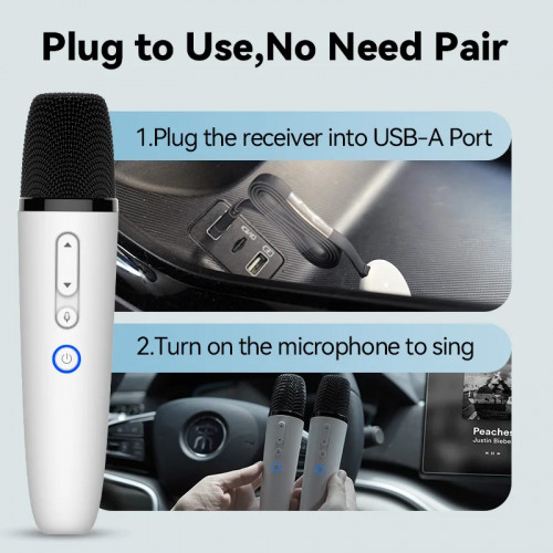 BYD & DENZA Official factory Car Microphone With Receiver, Karaoke Microphone for BYD all Models + Denza, Original sale.