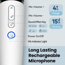 BYD & DENZA Official factory Car Microphone With Receiver, Karaoke Microphone for BYD all Models + Denza, Original sale.