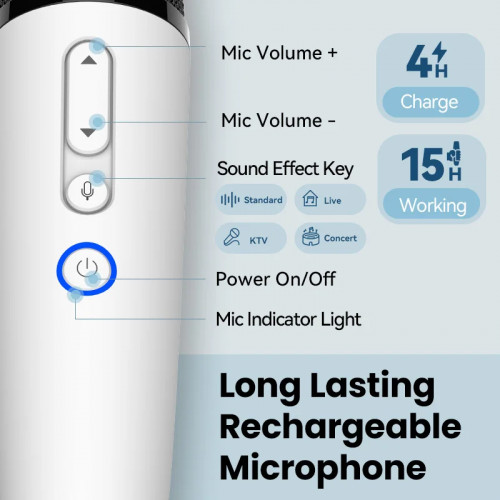 BYD & DENZA Official factory Car Microphone With Receiver, Karaoke Microphone for BYD all Models + Denza, Original sale.
