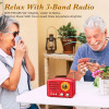 Small Retro Vintage Radio with Bluetooth, Portable Transistor Radio AM FM, Rechargeable Battery Operated, Support TF AUX USB MP3