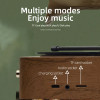 Retro Radio Portable Mini FM Radio Bluetooth Speaker MP3 Music Box Vintage Record Player with Microphone Support TFCard/AUX Play