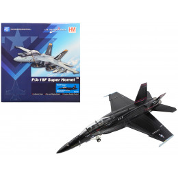 Boeing F/A-18F Super Hornet Fighter Aircraft 