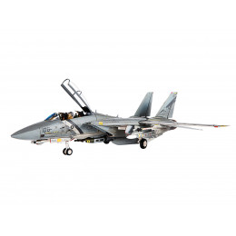 Grumman F-14D Tomcat Fighter Aircraft 