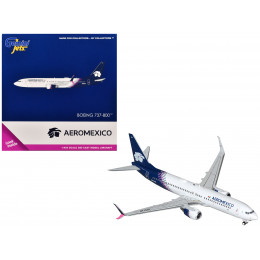 Boeing 737-800 Commercial Aircraft 