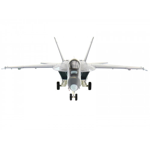 Boeing F/A-18E Super Hornet Fighter Aircraft 