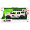 2021 Ford Bronco White with Red Stripes and Roof Rack