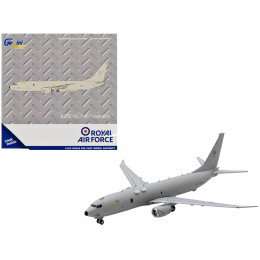 Boeing P-8 Poseidon Patrol Aircraft 