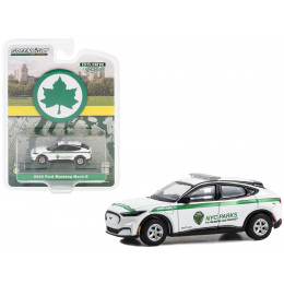 2023 Ford Mustang Mach-E White with Green Stripes 