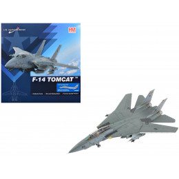 Grumman F-14B Tomcat Fighter Aircraft 