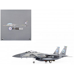 F-15E U.S. Air Force Strike Eagle Fighter Aircraft 