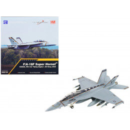 Boeing F/A-18F Super Hornet Fighter Aircraft 