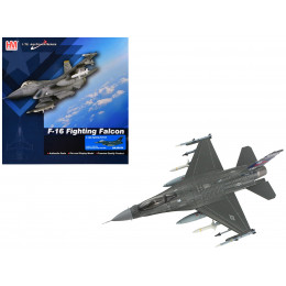 Lockheed F-16C Fighting Falcon Fighter Aircraft 