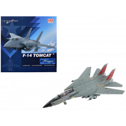 Grumman F-14D Tomcat Fighter Aircraft 