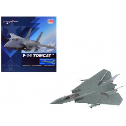 Grumman F-14A Tomcat Fighter Aircraft 