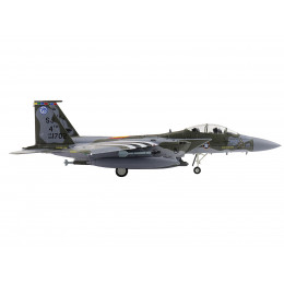 Boeing F-15E Strike Eagle Fighter Aircraft 