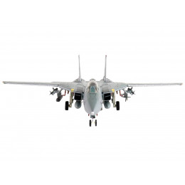 Grumman F-14D Tomcat Fighter Aircraft 