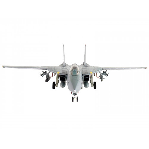 Grumman F-14D Tomcat Fighter Aircraft 