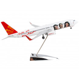 Boeing 737-800 Commercial Aircraft 