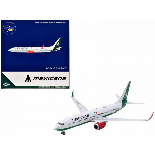 Boeing 737-800 Commercial Aircraft 