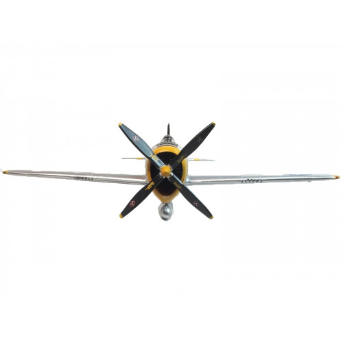 Republic P-47D Thunderbolt Fighter Plane USAAF 