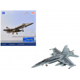 McDonnell Douglas F/A-18C Hornet Aircraft 