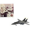 Grumman F-14B Tomcat Fighter Aircraft