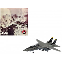 Grumman F-14B Tomcat Fighter Aircraft 