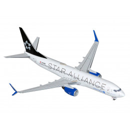 Boeing 737-800 Commercial Aircraft 