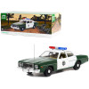 1975 Plymouth Fury Green and White