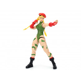 Cammy 6