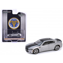 2018 Dodge Charger SRT 392 Silver Metallic with Black Stripe 