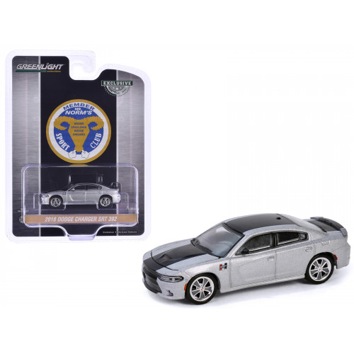 2018 Dodge Charger SRT 392 Silver Metallic with Black Stripe 