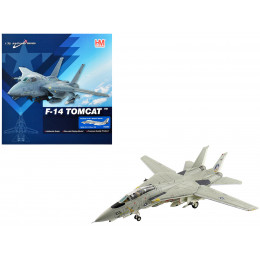 Grumman F-14D Tomcat Fighter Aircraft 