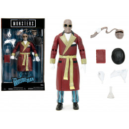 The Invisible Man 6